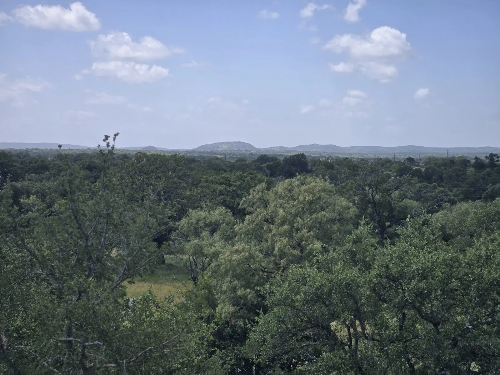Looking across a dense green canopy toward the low granite hills of the Llano uplift