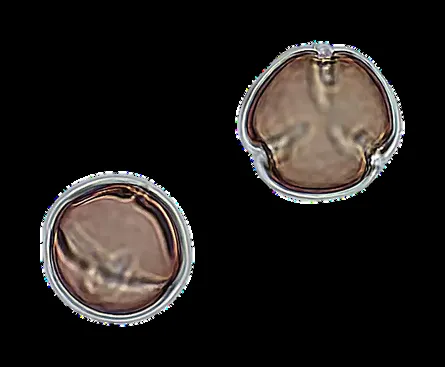 Microscope photo of Diospyros persimmon pollen grains from the 2026 sample