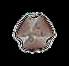 Microscope photo of Prosopis mesquite pollen from the 2026 sample